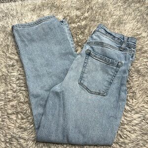 Wild Fable Jeans Distressed Button Up